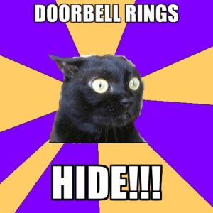 doorbell-rings-hide